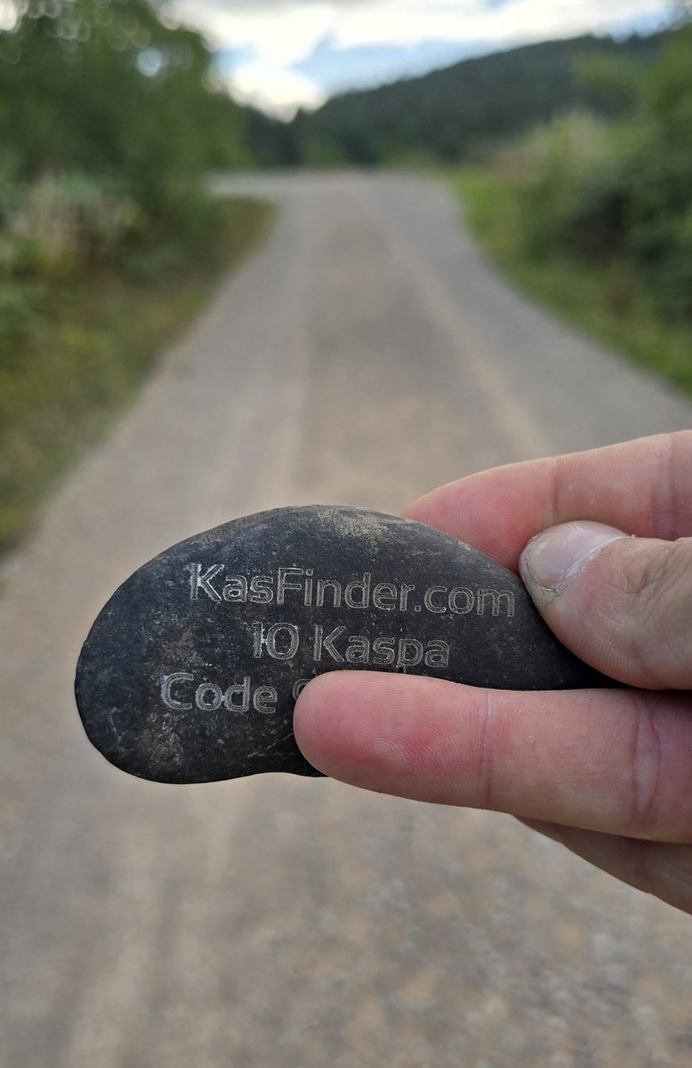 KasFinderCom's tweet photo. Dog walk and hide some kaspa 🚶🏽‍♂️ 🐕 

#kas #kaspa #kasfinder https://t.co/AleaMTdMsj