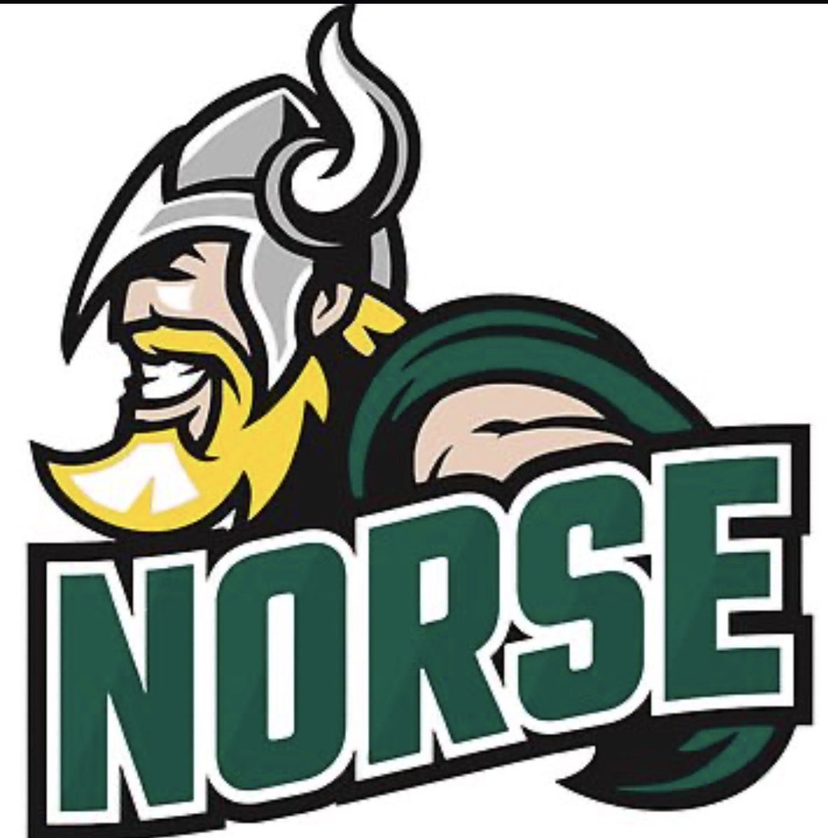 JavionGreen_'s tweet photo. #AGTG Blessed to receive an offer from Mesabi Range!! @NathanKero81 @sshsraiders @EarlEverett @CoachAgostino @CGauntlett33 @CoachDavis79 @Pierce_Story16 @JDRoss91 https://t.co/xuWYuhwjti