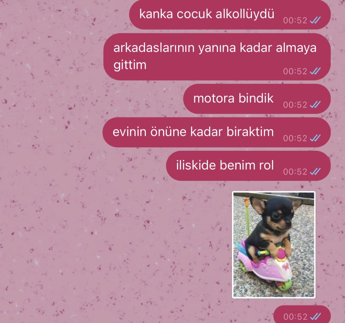 mentalbreakdowm's tweet photo. bizim kendimizi kaptirip kol kanat geris🫰🏻 https://t.co/90UnQoYwtH