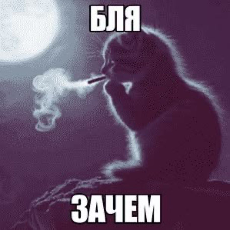 kansovaa's tweet photo. когда продолжаю твиттить со своими 0 читателями https://t.co/CChHu5VXiR