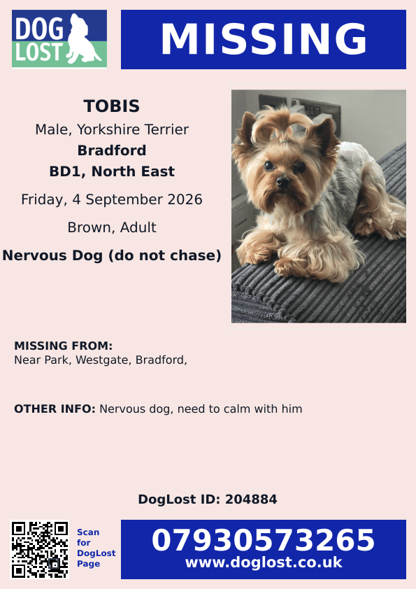 millypod1's tweet photo. 🆘4 SEPT 2026 #Lost Tobis #ScanMe
Yorkshire Terrier Male. Nervous Dog (do not chase).
Near Park #Westgate #Bradford #WestYorkshire #BD1
https://t.co/wuxEPItRh8 https://t.co/dstRzpL3Nd