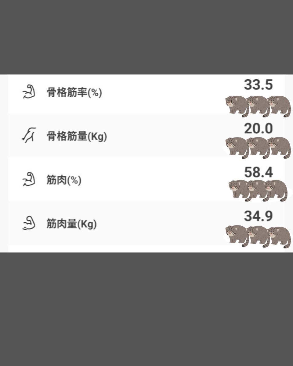 negimarimo's tweet photo. 何処にも行かないで筋肉😭
(足挫いて2〜3週間筋トレ出来ない) https://t.co/Vl1nwDwctW