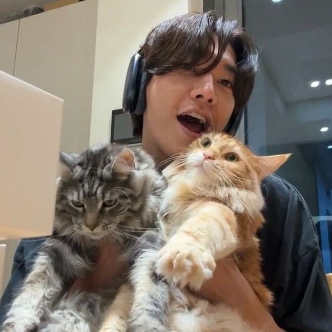 stainclouds's tweet photo. ⠀

죄 ; good morning peeps and pets. this weekend i will be social and stop procrastinating with the help of bomi and bori. i am wishing you all an incredible weekend.  
⠀ https://t.co/8rhkHzemI4