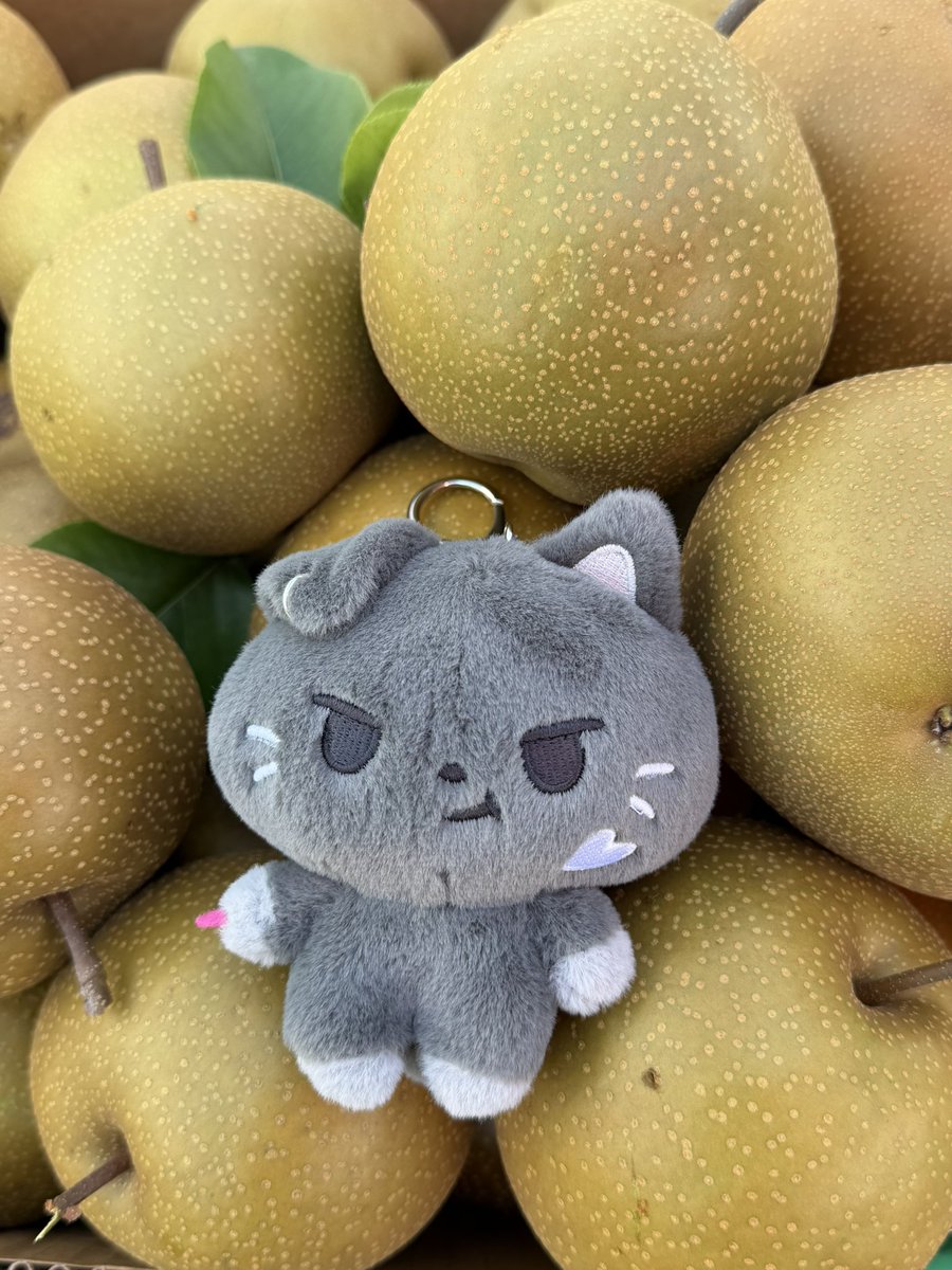 sleeptightjay's tweet photo. noxstar is asian pear picking https://t.co/Dg8S3ZlM9S