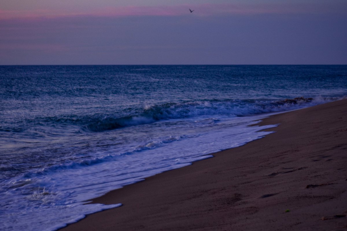 CCodpix's tweet photo. A very early visit to the National Sea Shore this morning.
#CapeCod
#CapeCodPhotography
#CapeCodLife
#CapeCodMA
#CapeCodMorning
#CapeCodSunrise
#CapeCodOcean
#CapeCodViews
#NewEngland
#NewEnglandPhotography
#SunrisePhotography
#OceanLovers
#AtlanticOcean
#MassachusettsCoast
#BeautifulDestinations
#NaturePhotography