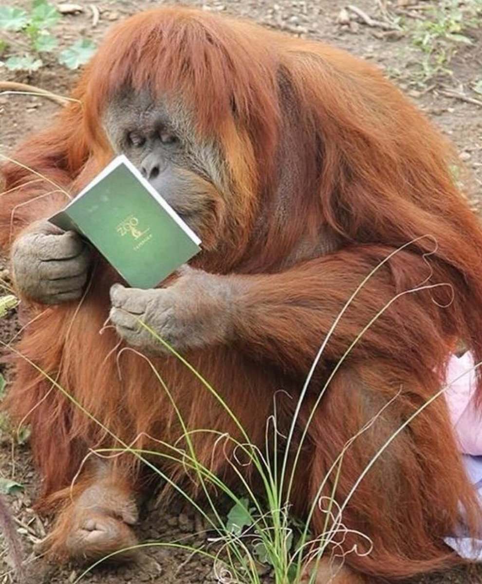 durusp's tweet photo. @npduru Kendimden bile geçebilirim ama senden vazgeçemem☝️ https://t.co/hsbOl20Xkw