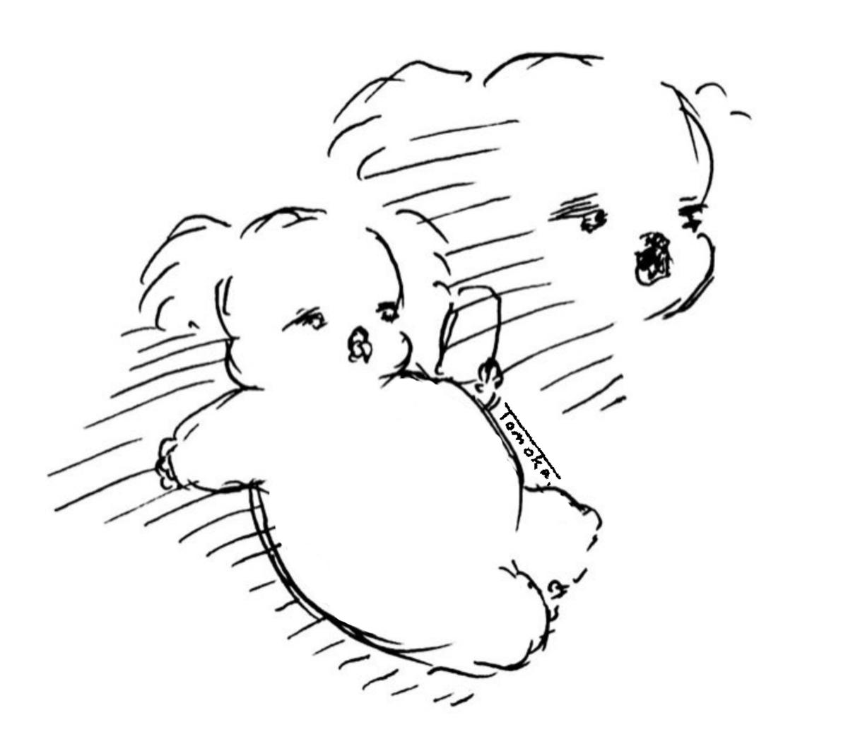 Tomoka1188's tweet photo. スマホを見たりダラダラした休日を過ごしてしまったコアラ🐨

#コアラ #イラスト https://t.co/EgWSOgigIe