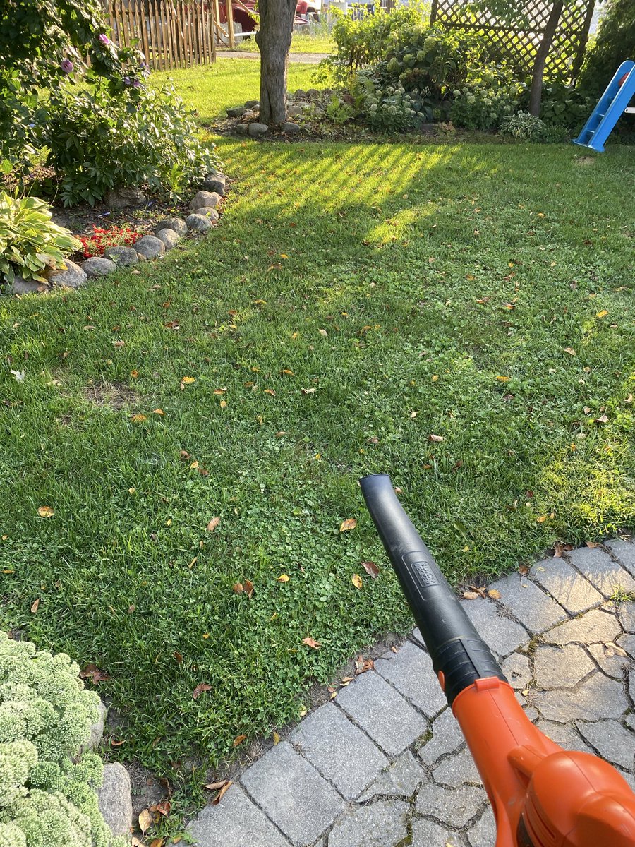 Musicalday89's tweet photo. With apologies to @ESPNMcGee, it’s a get the yard work done early type of day because college football is BACK! https://t.co/1rfDTEqc7f