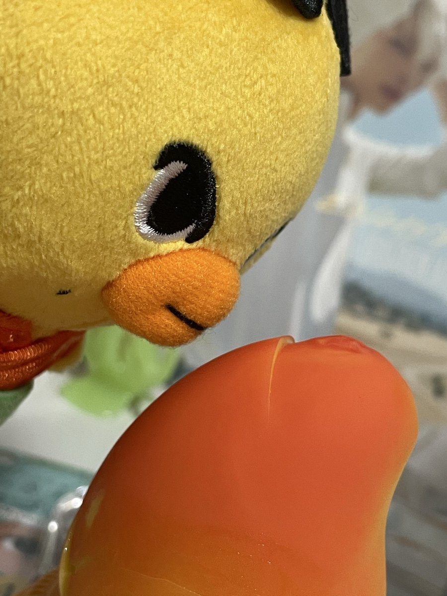niksunkist's tweet photo. for ni-ki💛🐥

#ENHYPEN  #NI_KI https://t.co/pFfCAT12vZ