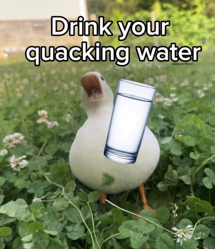 QuackMiu's tweet photo. Make sure that you hydrate, and don't forget to take a break every now and then~ 🦆💙 https://t.co/dLxpwt4WcI