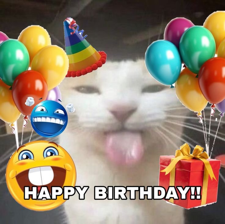 n29815533's tweet photo. @Xh0PlUgc Happy birthday broo !! https://t.co/1W5YSy6pT9