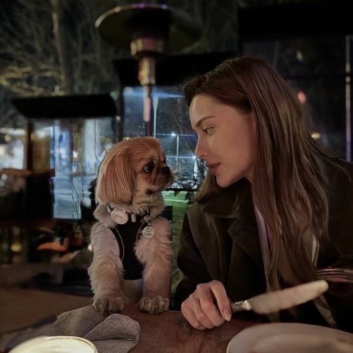 deemdiary's tweet photo. puppy girl                                           cat boy https://t.co/W0c6CggshR