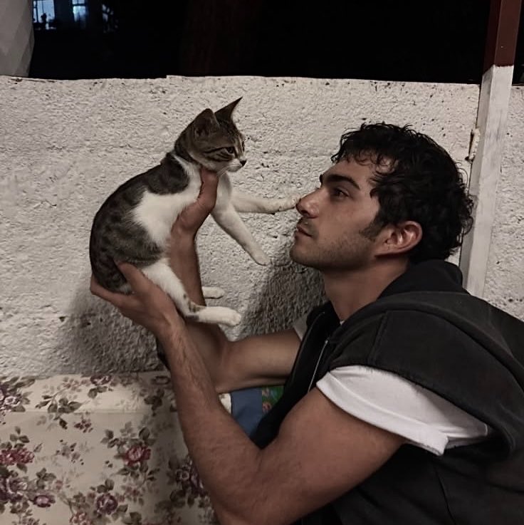 deemdiary's tweet photo. puppy girl                                           cat boy https://t.co/W0c6CggshR