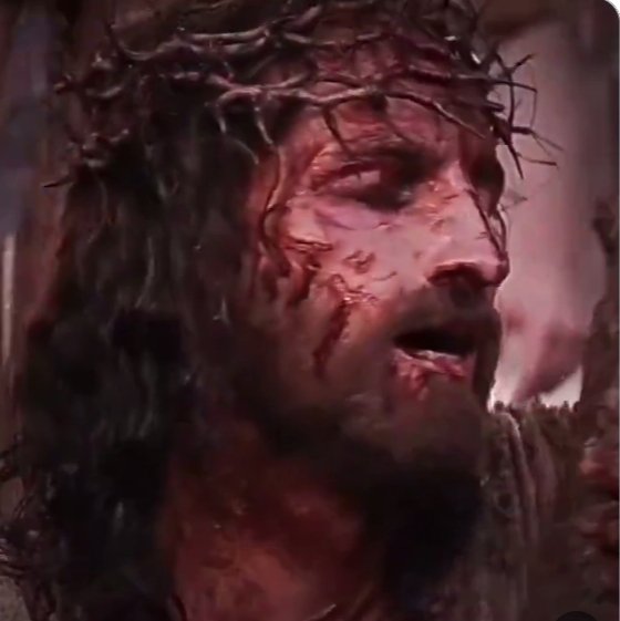 GulfamAsif14's tweet photo. I love you Jesus ❤️ ✝️✨😇💫🙏

Do you love Jesus?? https://t.co/qk789S1ydj