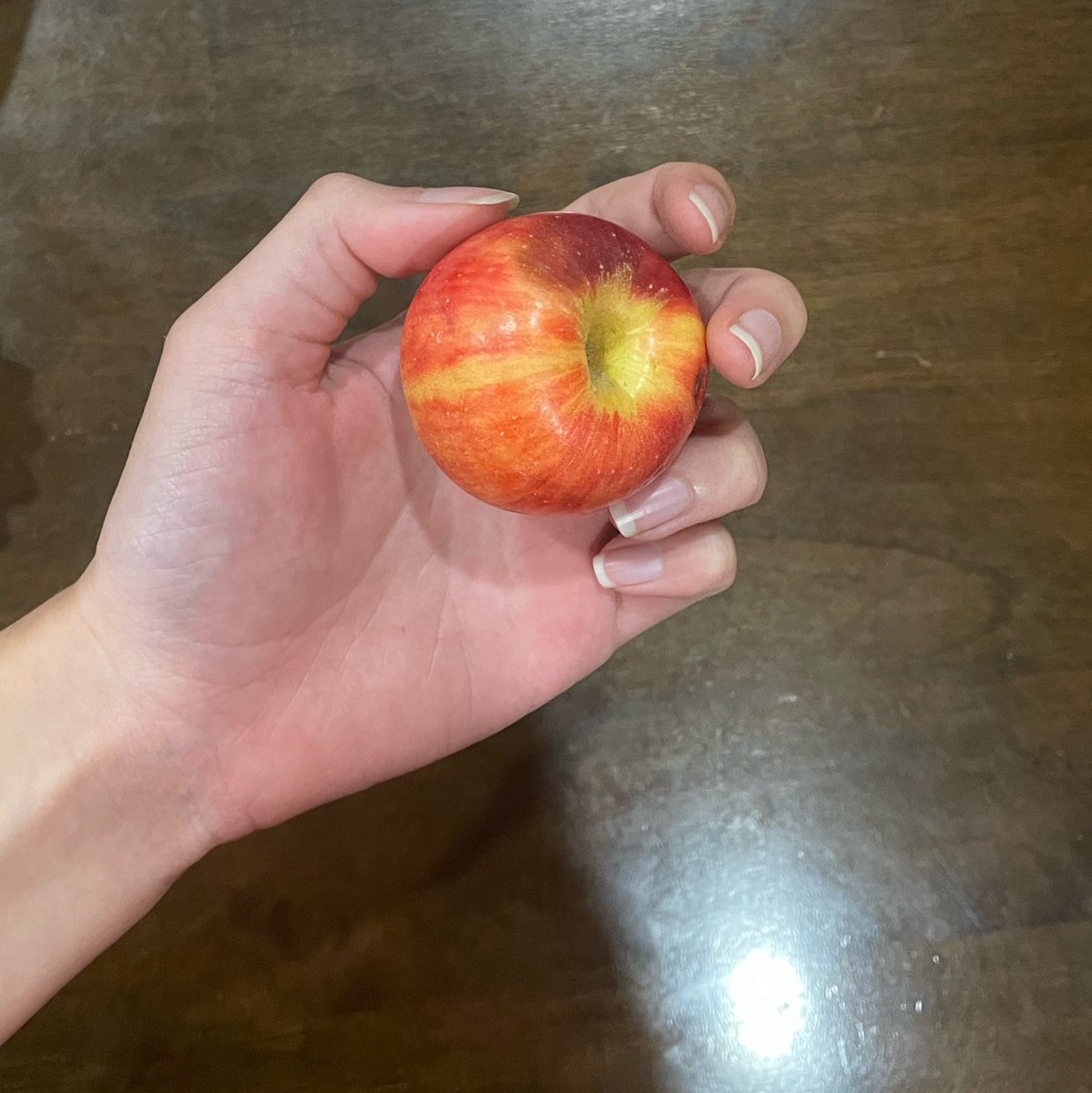 snowsnice's tweet photo. 2 of these apples the size of my thumb today https://t.co/5nFjajmbHD
