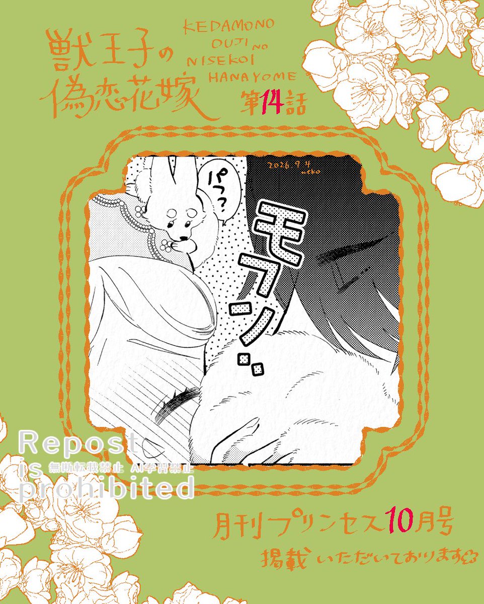 mame_hoshiko's tweet photo. 発売中の月刊プリンセス10月号に『獣王子の偽恋花嫁』第14話を掲載いただいています💍💫
王家の紋章50周年のスペシャル号に掲載させていただけて嬉しい！
ラブコメが始まるかと思いきや(?)、風向きが変わる14話です。
お楽しみい���だけますように。

#獣王子の偽恋花嫁
#ケダ恋 https://t.co/x6oBihISmx