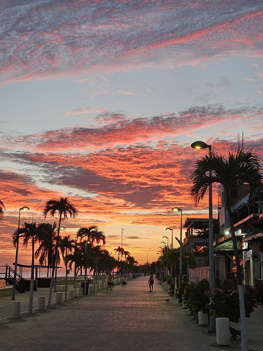 seasunsoulful's tweet photo. Mom... God is painting in the sky again ๐จ
Pre Sunrise Sky was Spectacular this morning. It was a WOW! Never miss a sunrise, and have a wonderful day ๐๐ฟ๐ฉต
Yucatan #nofilter https://t.co/L123FulbAc