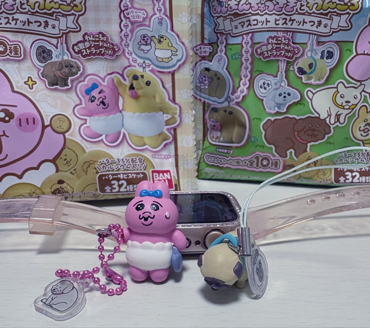 Pretty_2tama5's tweet photo. おぱとわんこゲットできた🐰🐶
#おぱんちゅうさぎとわんこ3 https://t.co/PvwzdiuTG8