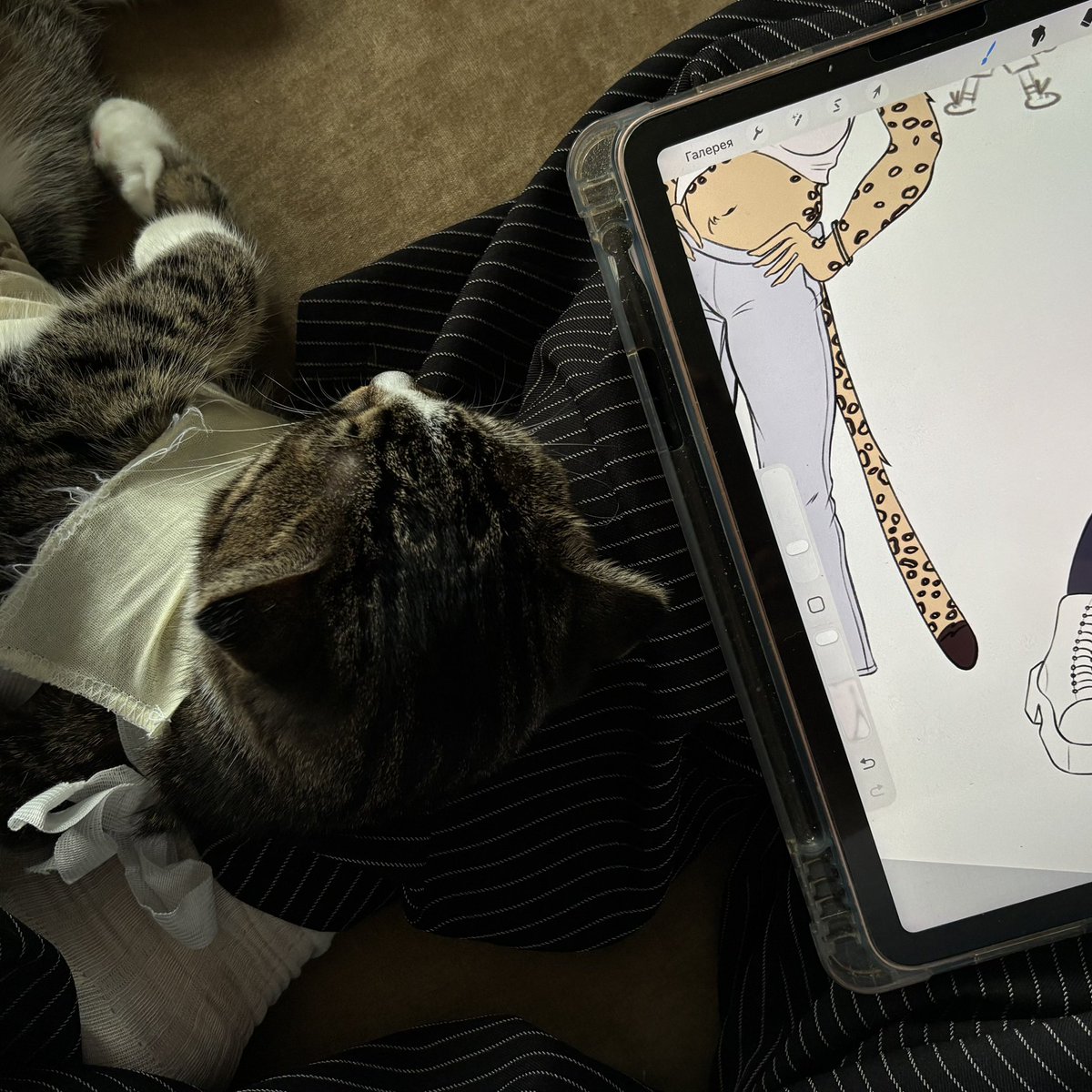 bimkxxx's tweet photo. extra extra read all about it: cat pills for all diseases! https://t.co/p5zkkzsj4E