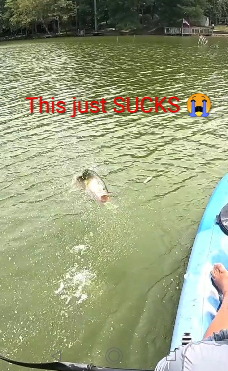 DustinEvan77557's tweet photo. https://t.co/5xjZfcLrMP
Sometimes you have to finesse a square bill through cover to get bit. For all your Filming and Accessorie Needs go to Yolotek and Enter Discount Code DUST10 for 10% off #kistlerrods #gopro #yolotek #fishing #bassfishing #kayakfishing https://t.co/vFP4munj7W