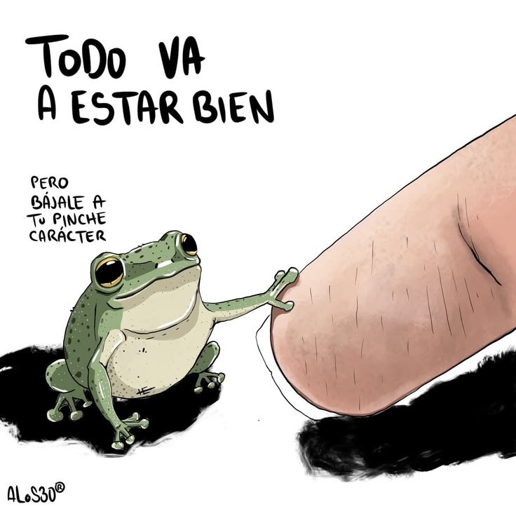 oscilo_nx's tweet photo. Buenos días ☀️☕️ https://t.co/yfXUq2sSHN