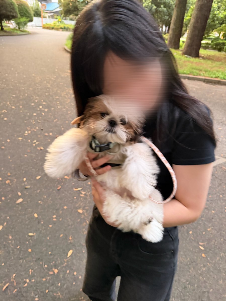 svr__pn's tweet photo. わんちゃん会えた〜🐶♡
久々だったありがとう⸒⸒⸜( ˶'ᵕ'˶)⸝
@rex8san @hochan_18 https://t.co/U3g96byfnu