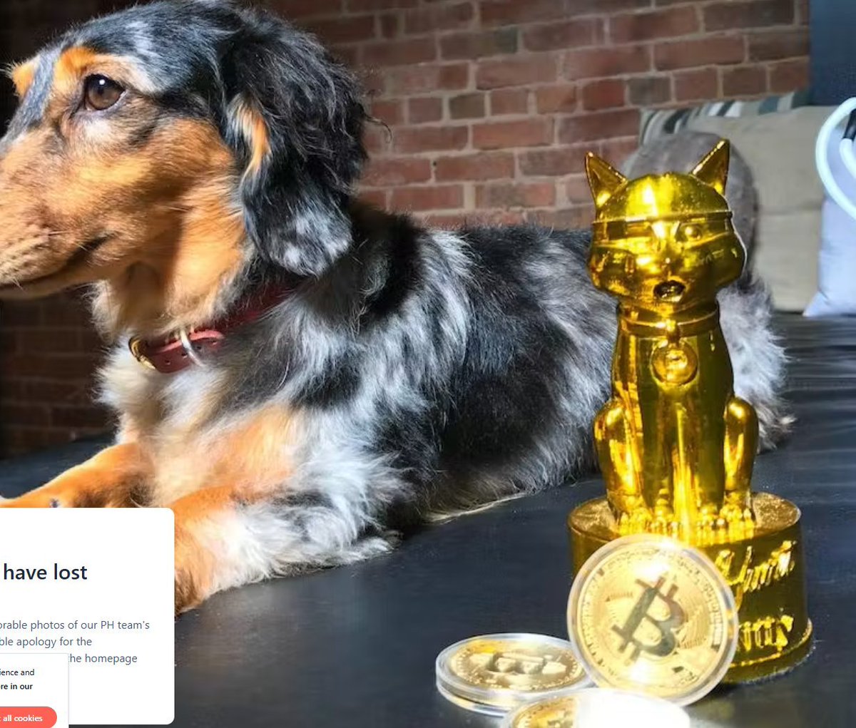 GoldenCatHOOD's tweet photo. Vlad lore runs deep 

GoldenCat https://t.co/LAf0XiO7oM