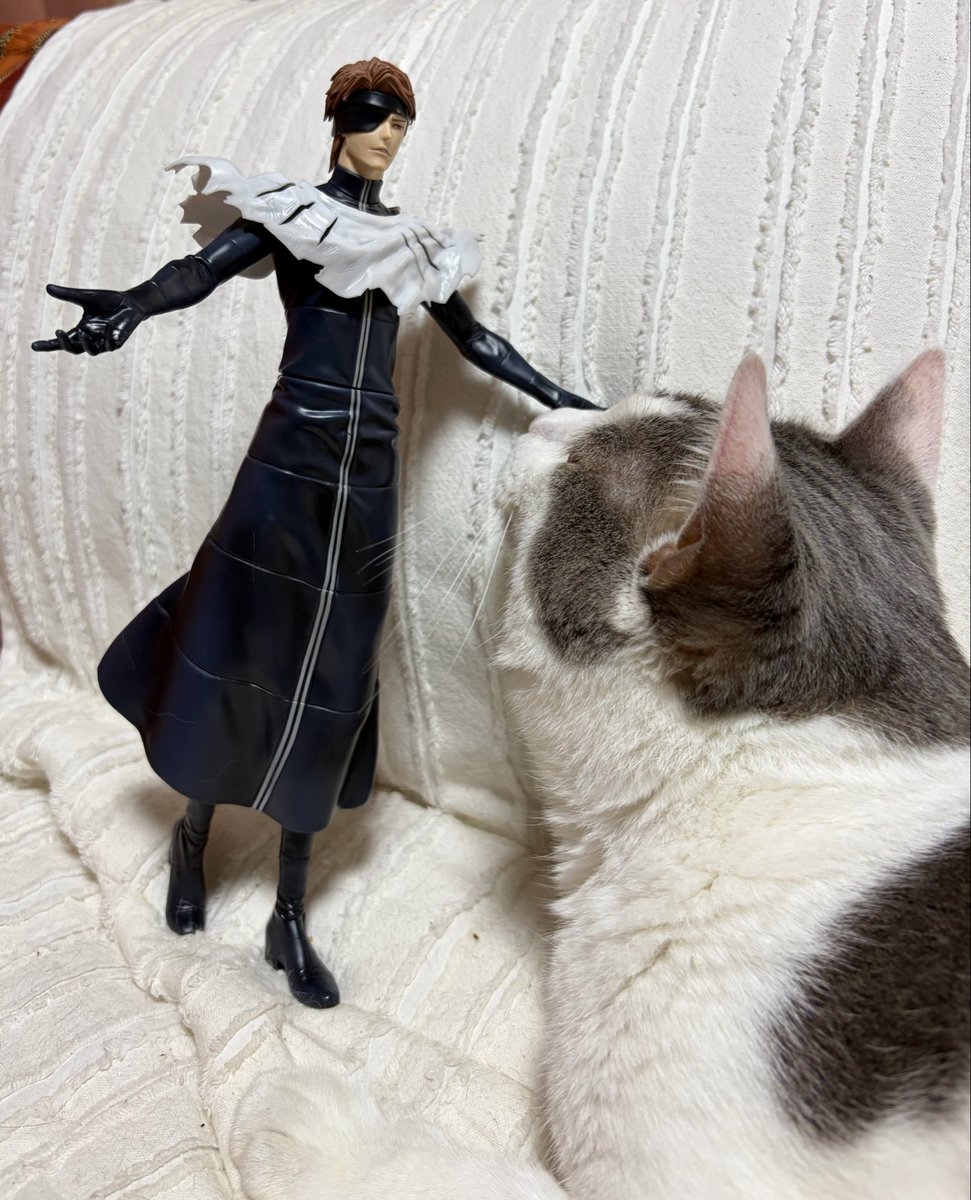 sake_ao66's tweet photo. ようこそ私のｿｳﾙｿｻｴﾃｨへ https://t.co/CH9K0sGQuN
