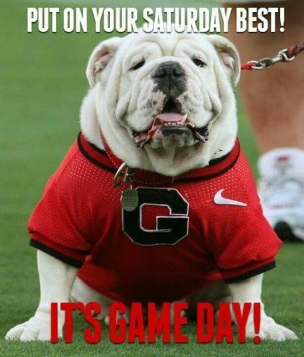 Truth_Junkie2's tweet photo. Good morning and #GODAWGS 🏈😃 https://t.co/dQBumbG0cf