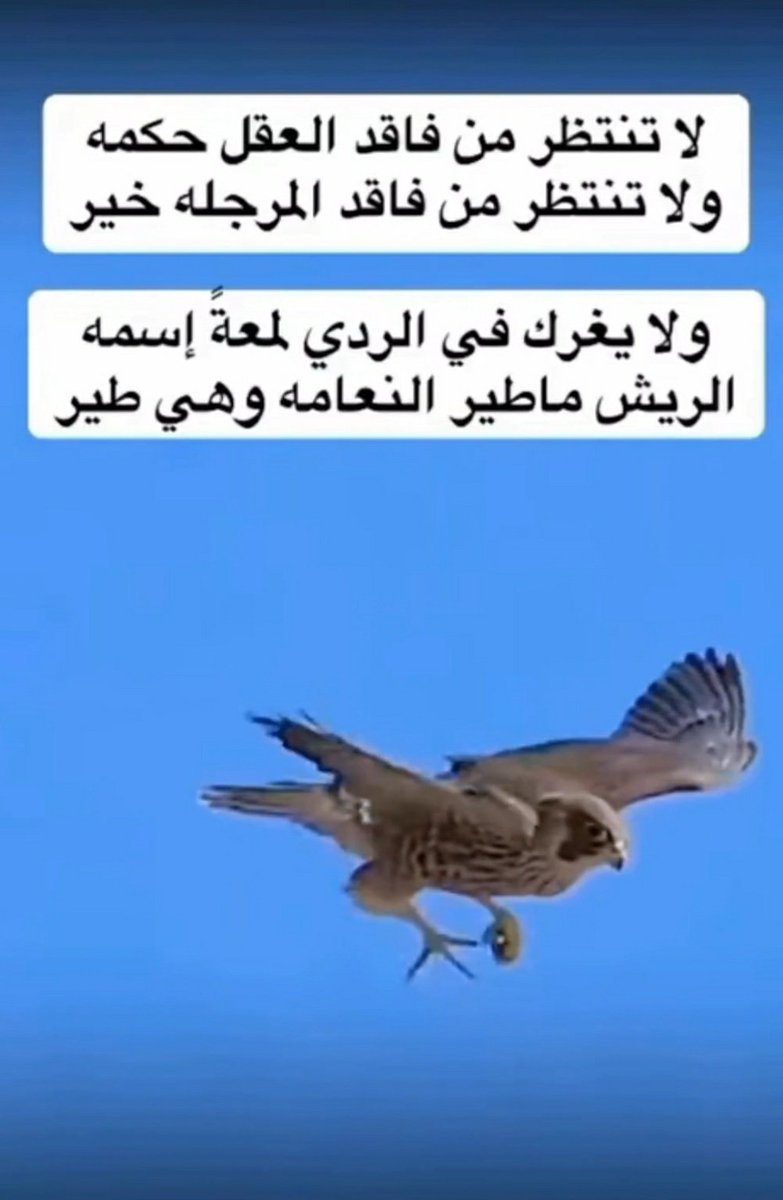 lia__1199's tweet photo. شاركونا رايكم في التعليقات ♥♥♥♥♥♥👍 https://t.co/sn4ckWc6GC