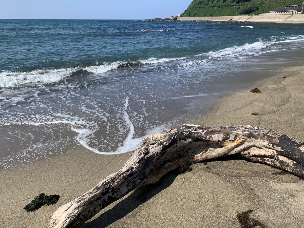 kohaku772's tweet photo. 天気が良かった☀️ https://t.co/Mr1VFIc5ud