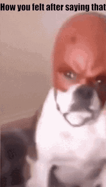 kakarot2002p's tweet photo. @martinwalsh__ https://t.co/oCDrQWWsZN