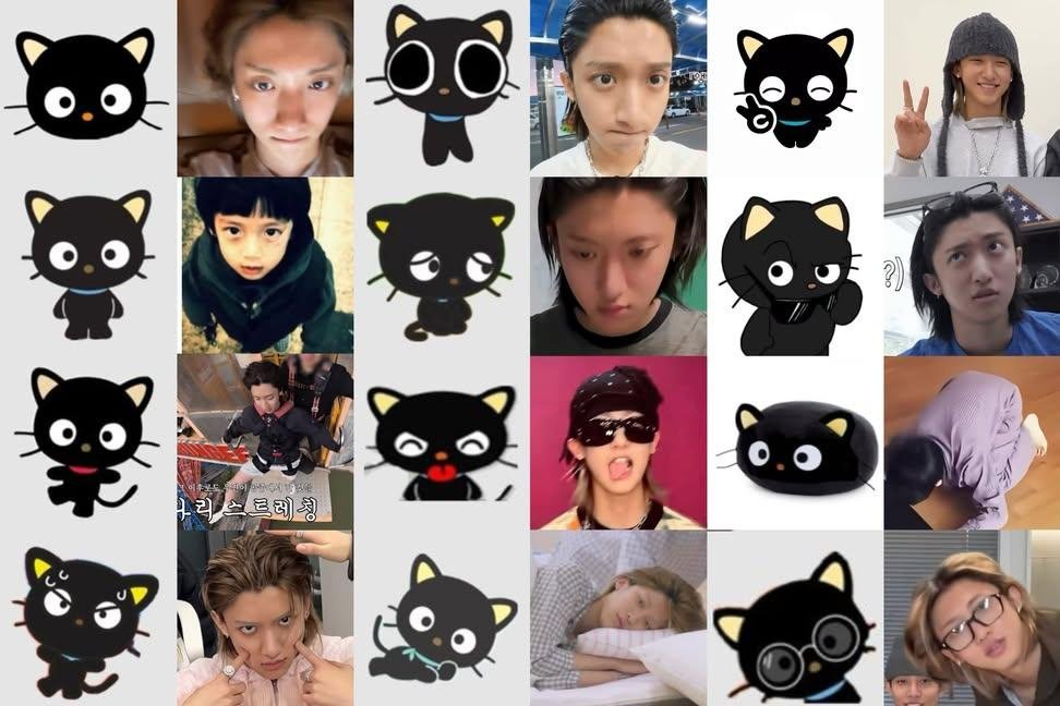 Mowyaholic's tweet photo. Nyawcn 😾 https://t.co/pibjD6fjzJ