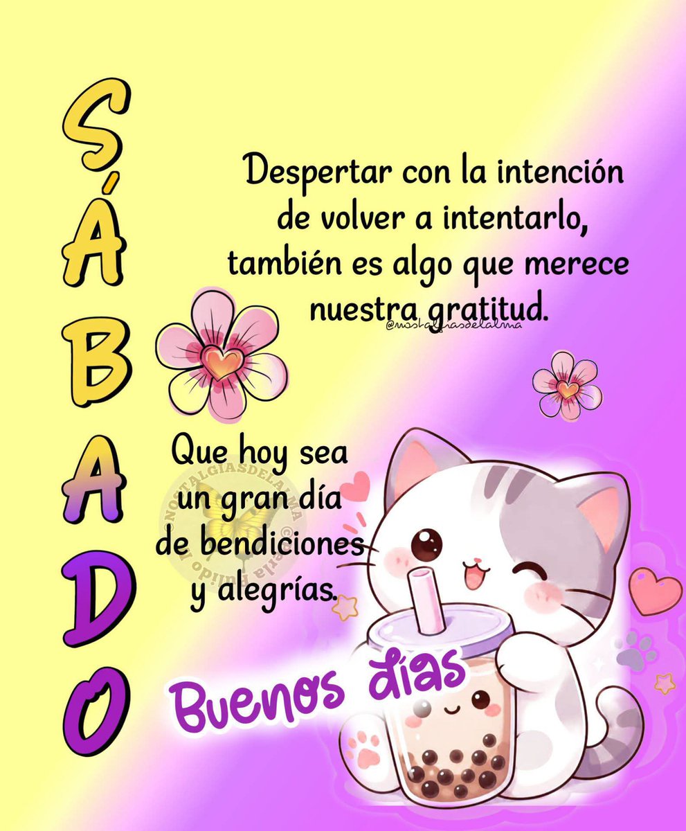 srita_m's tweet photo. @Z06Anamaria Gracias Anamaria 🙌 https://t.co/i5ftiv75rE