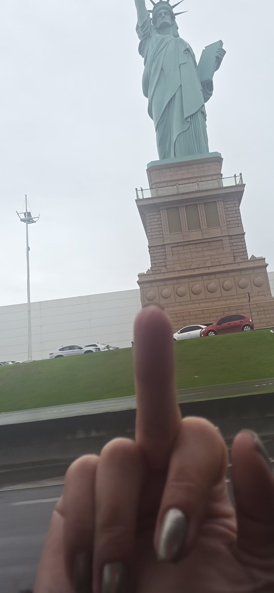 Fevieira_s's tweet photo. Meu gesto involuntário toda vez que passo em frente a uma Havan.

Pau no C* daquele véio desgraçado. https://t.co/839NsAsdX7