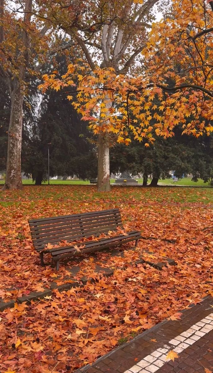earthviewss1's tweet photo. Autumn is here https://t.co/Vdm0aD3QE1