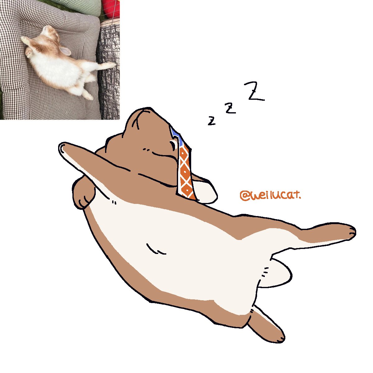 weilucat's tweet photo. zzZ https://t.co/SNLYXOlTjC