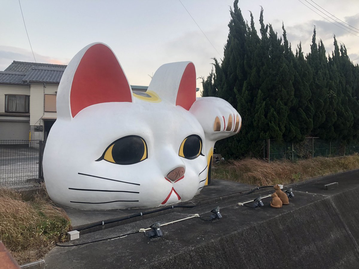 yuichi09161993's tweet photo. 愛知県常滑市は招き猫の町と言われてます🐱ฅ https://t.co/VoT7gRMZed
