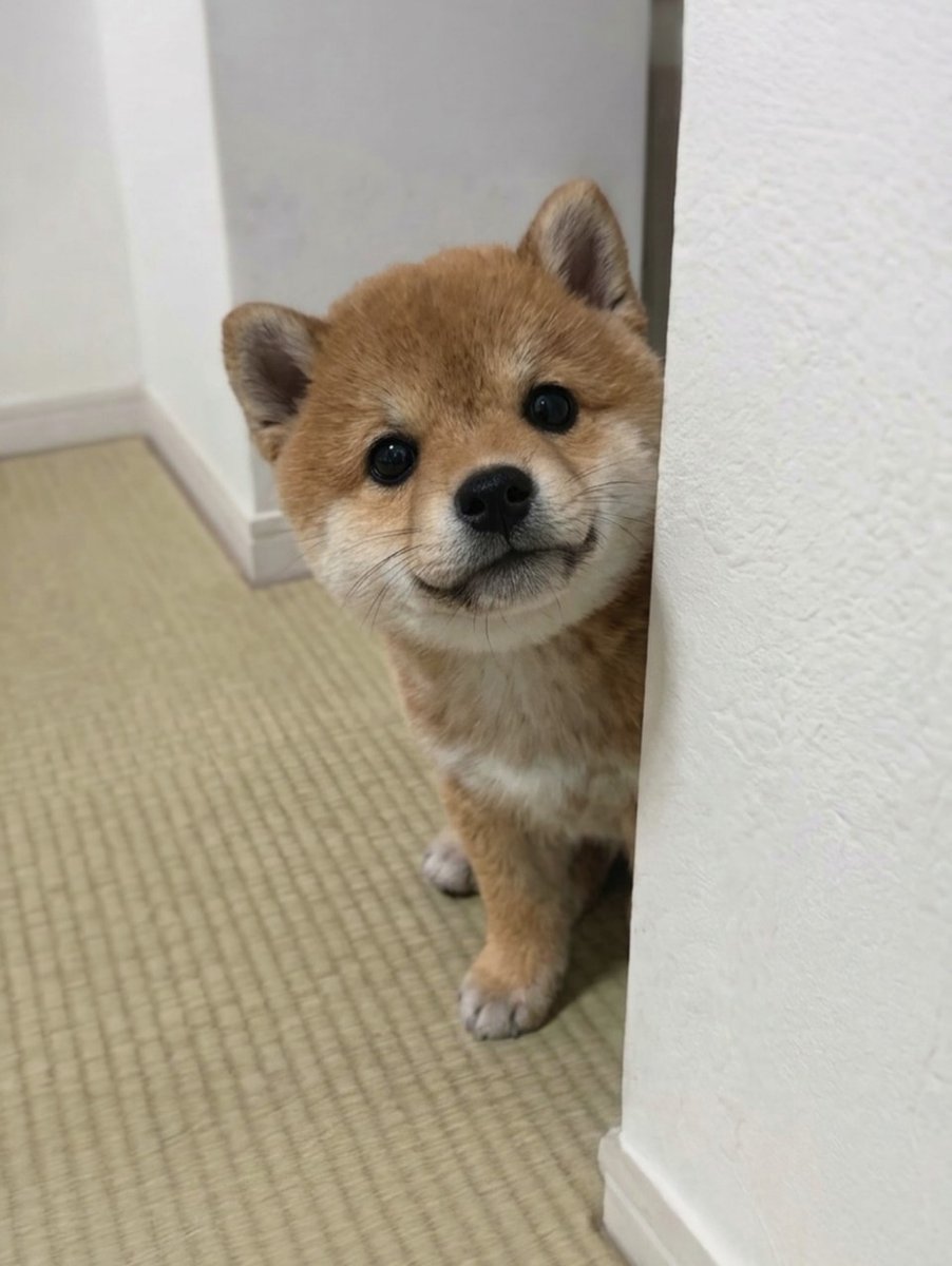 Tina_1703's tweet photo. 衣替えの季節、毎年悩む衣類の整理。
少しずつ片付けていけば、スッキリしたクローゼットが待ってるよ✨新しい服を楽しみにしよう！🌸 https://t.co/ncvu7VaPjK