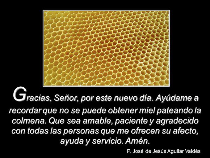 PadreJosedeJes's tweet photo. ¡Buenos días! https://t.co/dNmyc1H8Kl