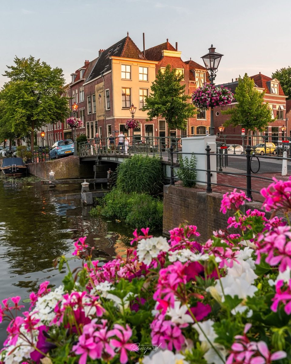 earthviewss1's tweet photo. 📍Leiden, Netherlands 💐🇳🇱 https://t.co/qD79BJ07eN