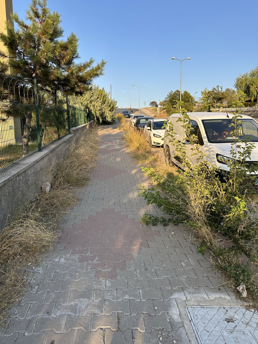 Muratca13548299's tweet photo. @fethiyasar Başkanım;
Yenimahalle Batıkent Kentkoop Mahallesi Harbiye 66 Sitesi yanı 
Şehit Hüseyin Bahadır Sokak üzeri maalesef otlar, çayırlar, kaldırımda 
Üzerinde kendiliğinden oluşan ve kaldırım üzerinde yürüme yolunu kapadan ağaççıklar şehir merkezine hiç yakışmıyor https://t.co/O3K06CVoG5