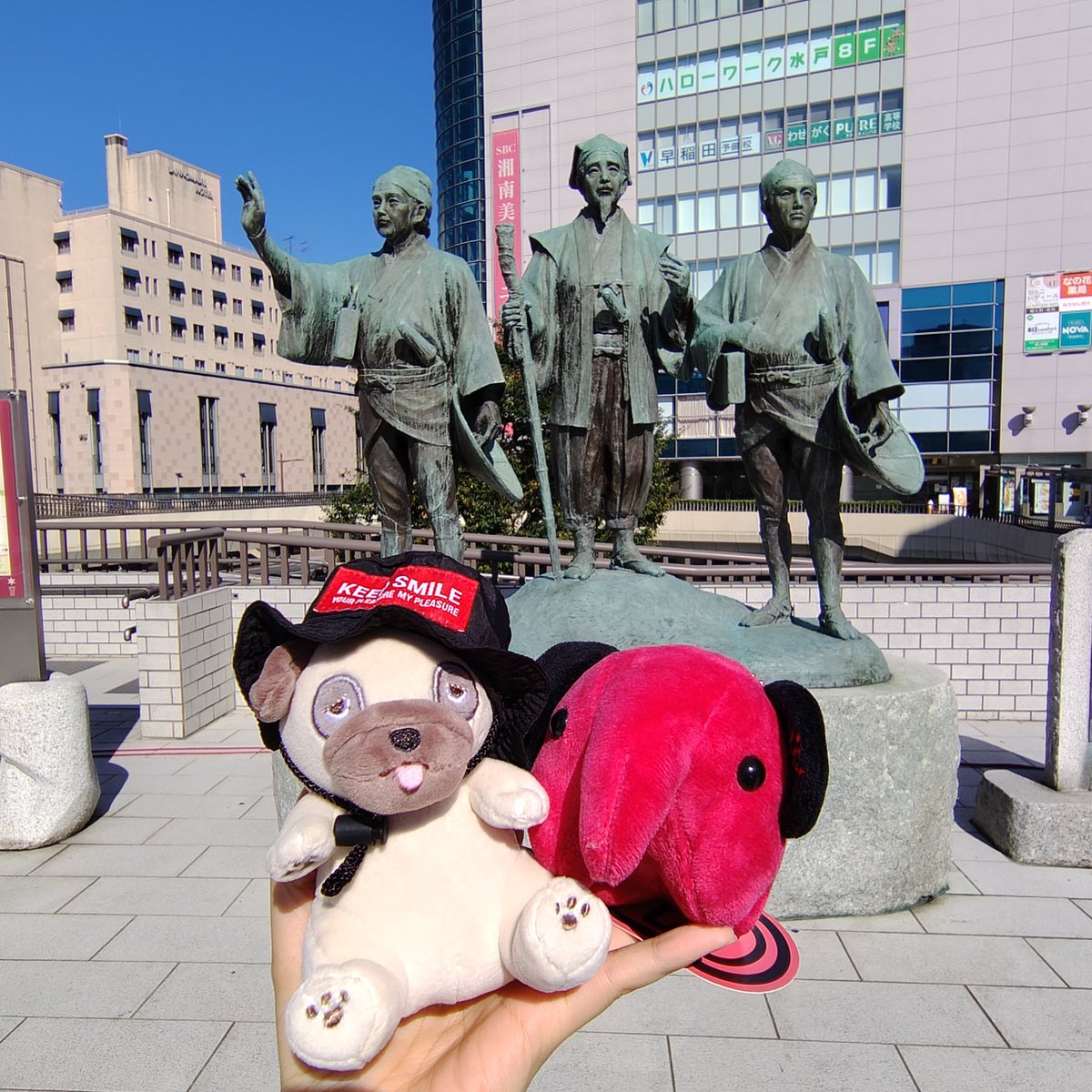 sr3gkm's tweet photo. 久しぶりの310だーーー！！710おいしいけどライブ中に持ち歩けないしライブ後は店終わってるし！そぼろ710買いたかったヨォーーー！ https://t.co/BZHlEMrhel