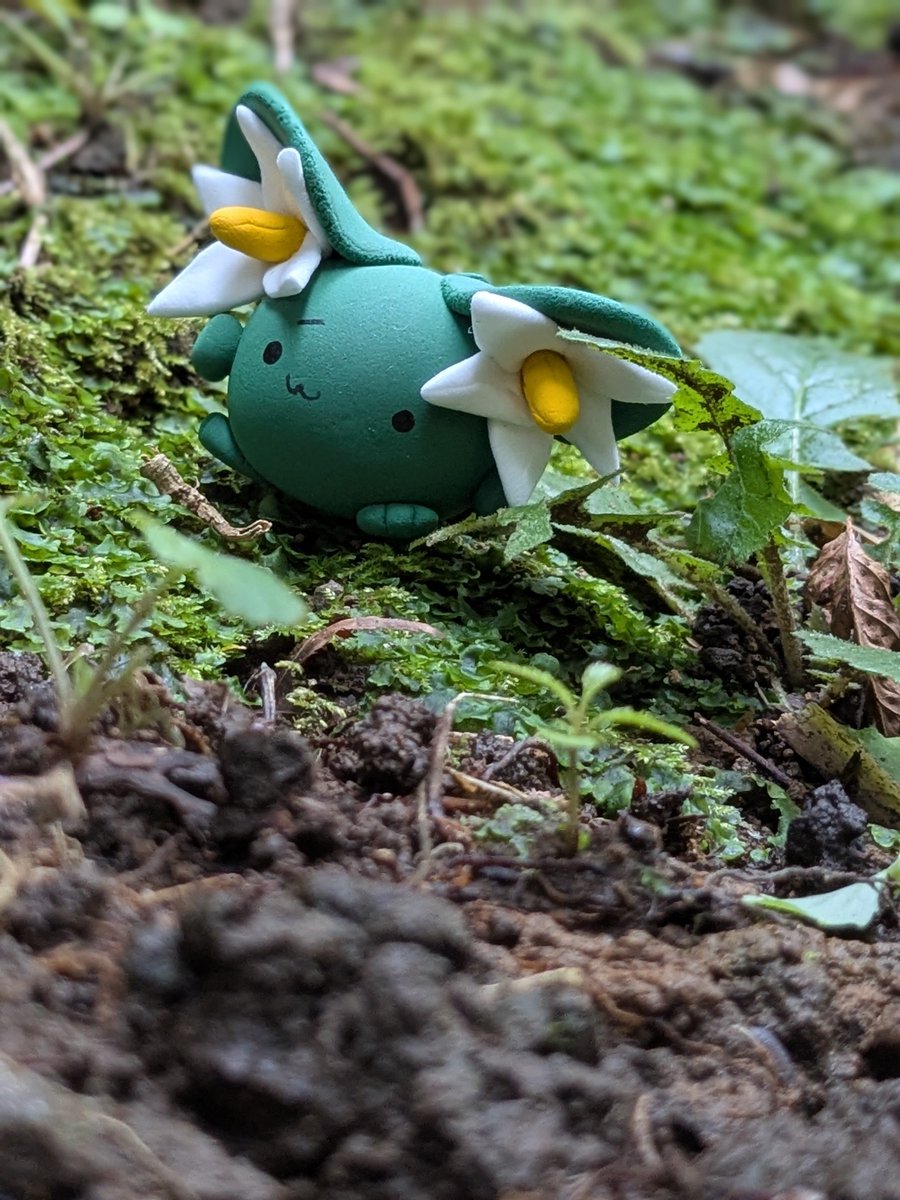 otori_2525HAPPY's tweet photo. 緑色が1番可愛い🌱🍀
#全クリエイターに告ぐ緑の作品を解放せよ https://t.co/161tulxHCi