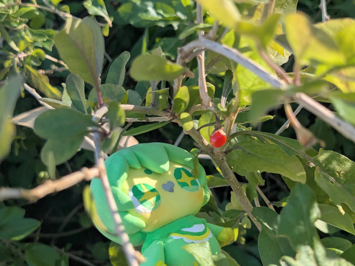 otori_2525HAPPY's tweet photo. 緑色が1番可愛い🌱🍀
#全クリエイターに告ぐ緑の作品を解放せよ https://t.co/161tulxHCi