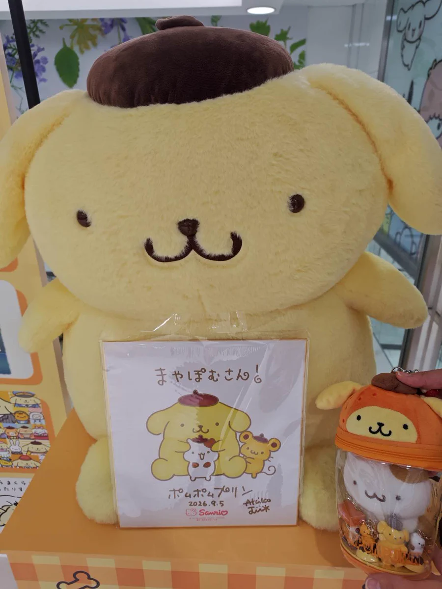まやぽむ on X: 