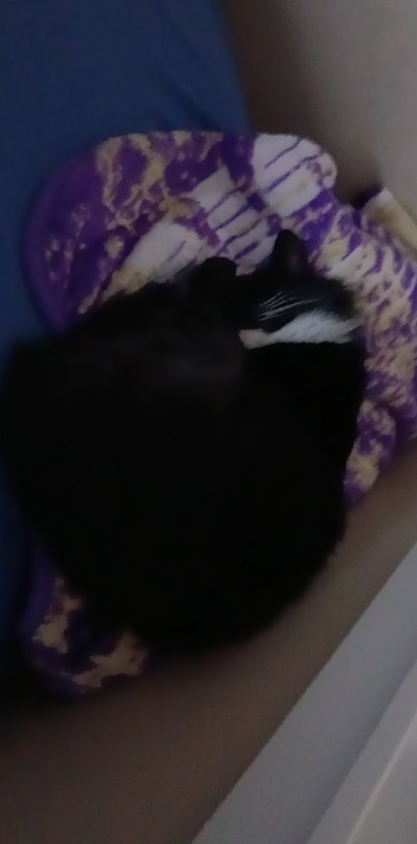 Fatherbun's tweet photo. Tired crusher. https://t.co/ZvMn7QNmyu