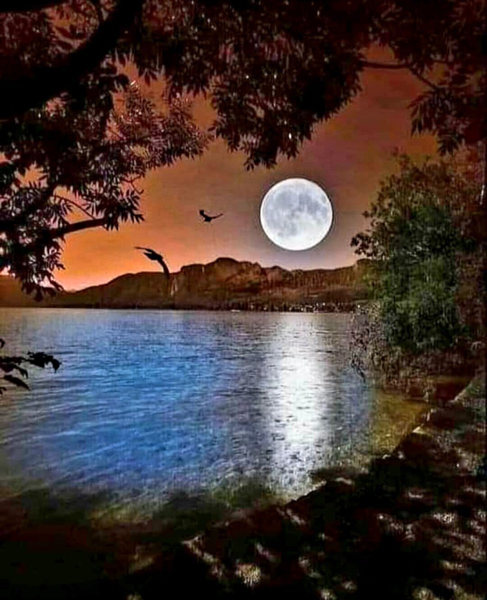 S111_7's tweet photo. #PAK_PG
05/9
@zar288 @frq05 @S111_7
@Azk75_ @frq_5 @B_0SS1
@1SJ01 @1SJ_2 @BSU_21
@shzz900
@shZ447
@Sprxzy2
@Ayn9_ @ijz99
@1i3_ua @Bla_Here
@8ambr @frq_3 @fhi4S
@1i3Ua @Bla_Here2
@1i2Ua @1i2_ua
@Btrf_9
@_Rak_S
@3zaara
@Ab_axi
@imrnv @imra0b
@otaic4 @ShAli38
@5fozi @f_0sb @frq06
14 https://t.co/Uy3ZsIAFYA