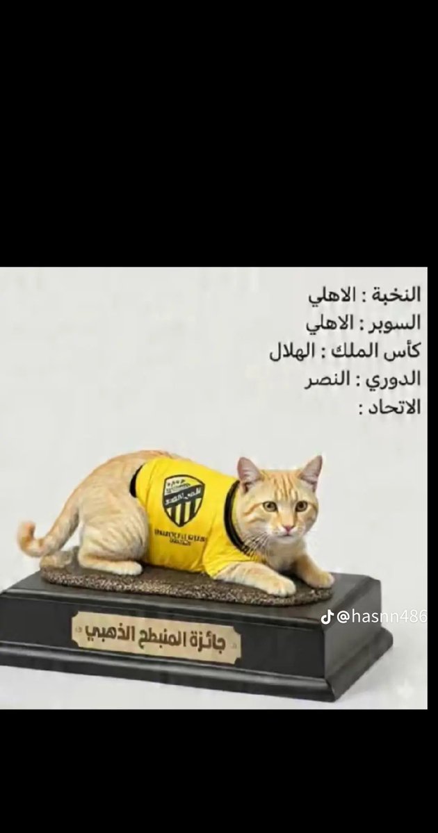 alsrayhi77's tweet photo. @salh316 أنت في كل موسم تعويض
ولكن فاقد الشيء لا يعطيه

وخارج نفسك بس اليوم

وأنتظرك مثل كل موسم👌
عشان أدعس على خشمك 🤣 https://t.co/sXGUmCoBss
