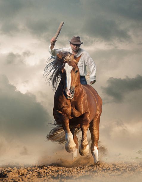 mpl168's tweet photo. 🙇‍♀️🐴 https://t.co/UrNK6BFic9